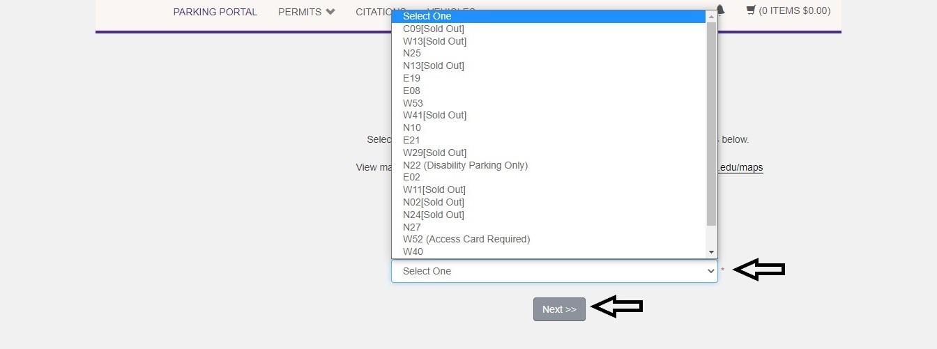 screenshot of customer portal with lot selection field shown expanded with arrow indicating it and next button shown with arrow