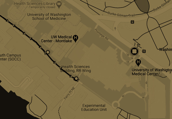 shuttles map decorative graphic