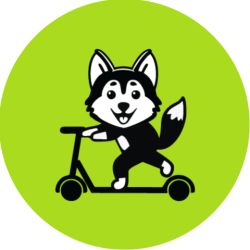 Husky on a scooter