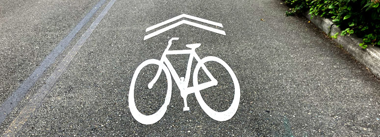 white sharrow on dark asphalt pavement