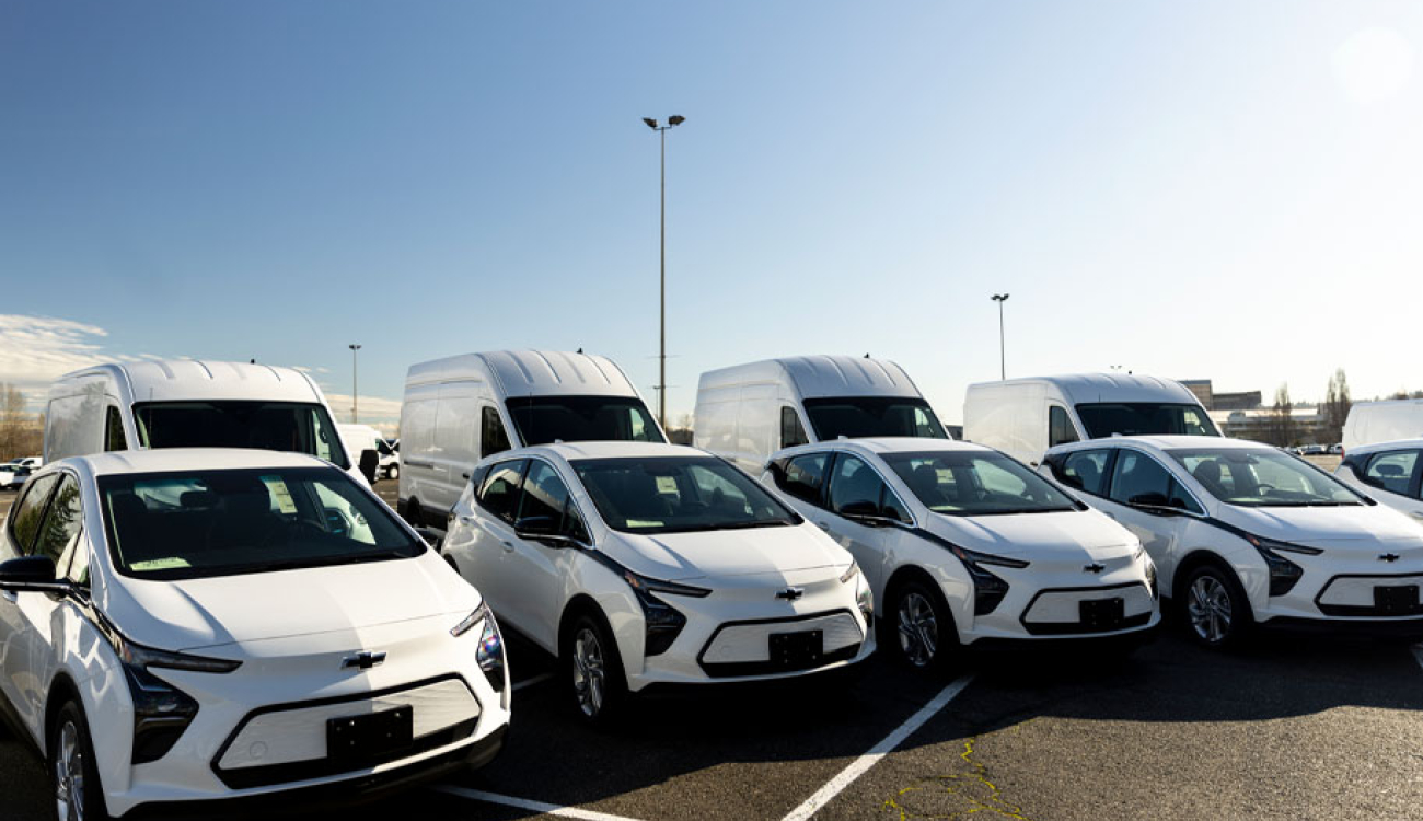 multiple, brand new, white electric cars and utility vans parked in a lot