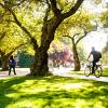 uw quad with a bicyclist and pedestrians