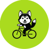 Husky on a bike
